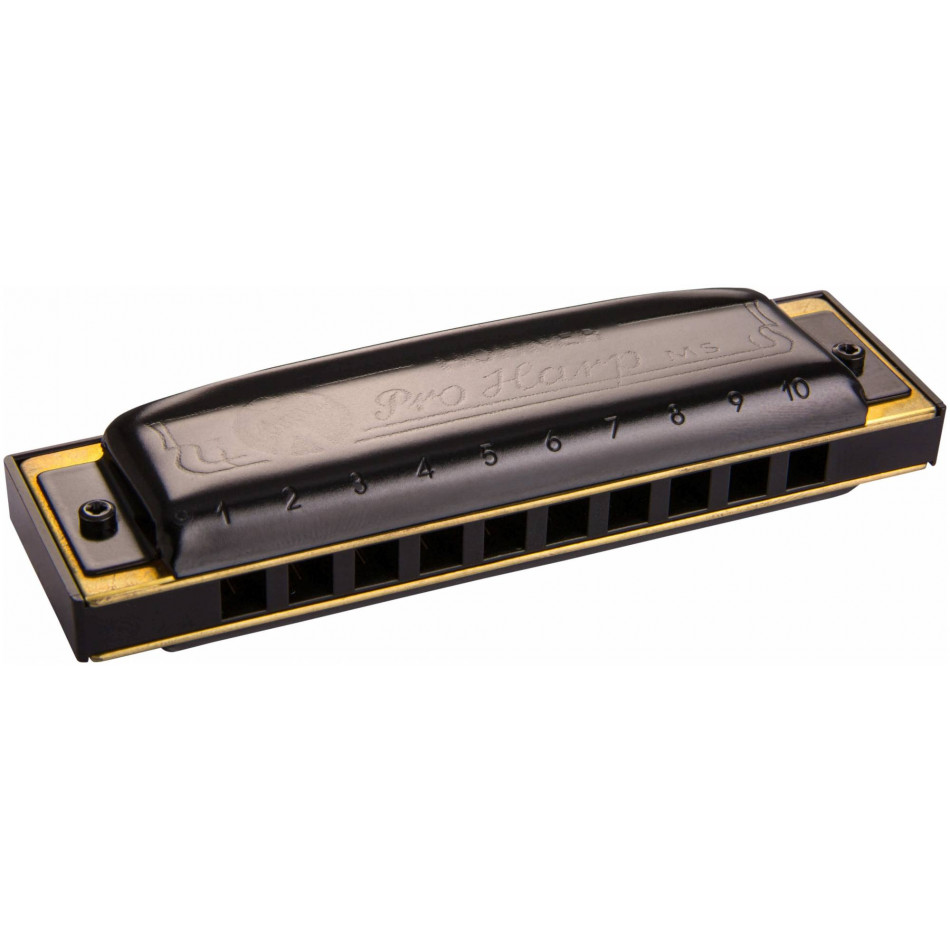 HOHNER Pro Harp 562/20 MS D - Губная гармоника диатоническая