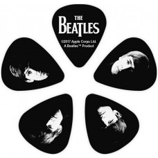PLANET WAVES 1CBK6-10B2 - Набор медиаторов 10 шт.
