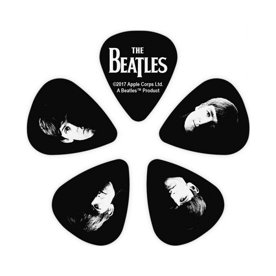 PLANET WAVES 1CBK4-10B2 - Набор медиаторов 10 шт.
