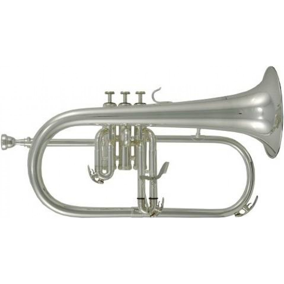 ROY BENSON FH-302 S - Флюгельгорн