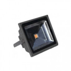 RICH LED RL-FL-12-50-G - Светодиодный прожектор