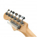 PLANET WAVES PWGS-D SL - Слайд